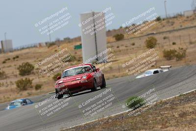 media/May-03-2025-Lucky Dog Racing (Sat) [[206de64b9d]]/Turn 6 (150pm-230pm)/